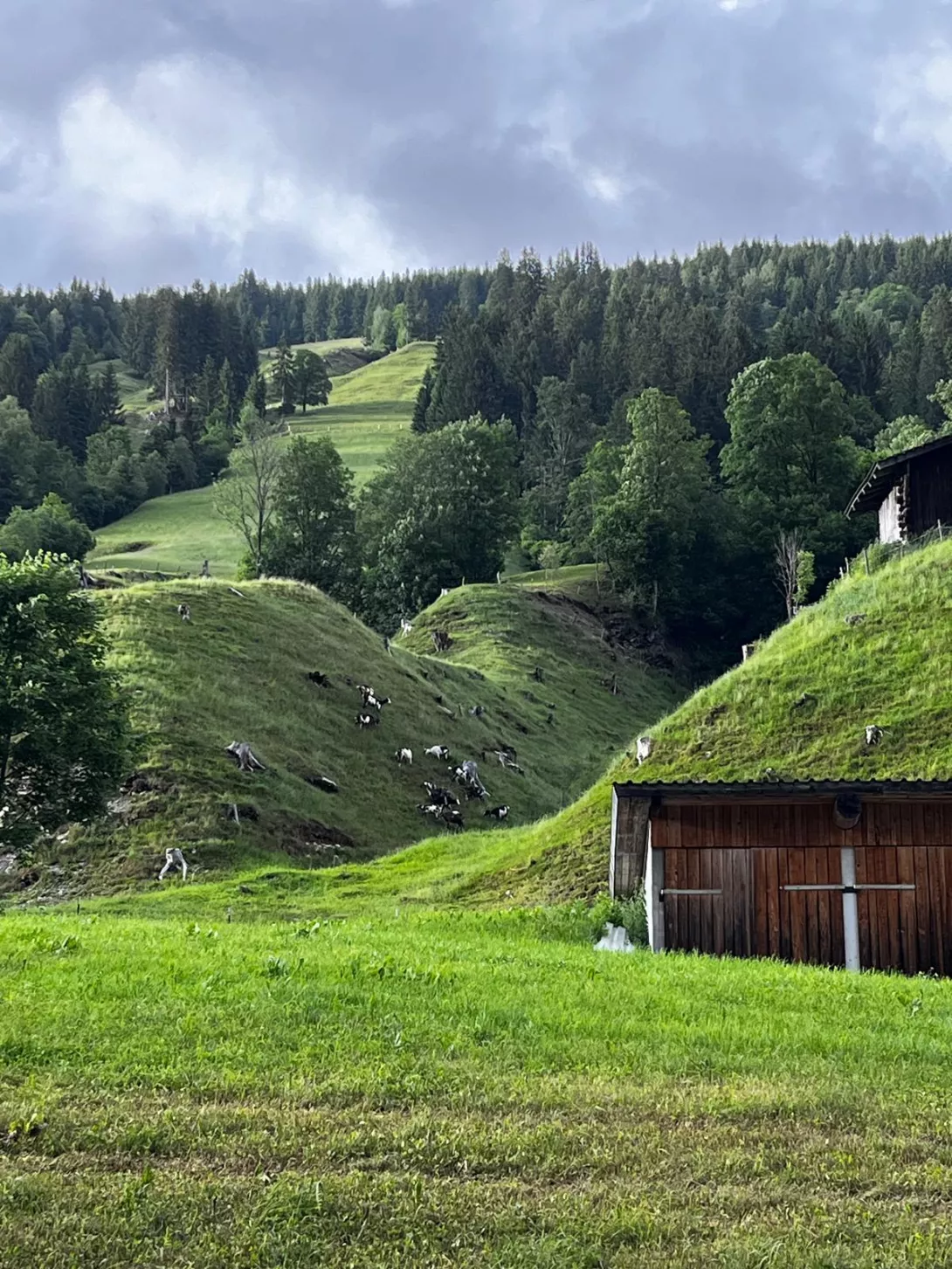 Saalbach