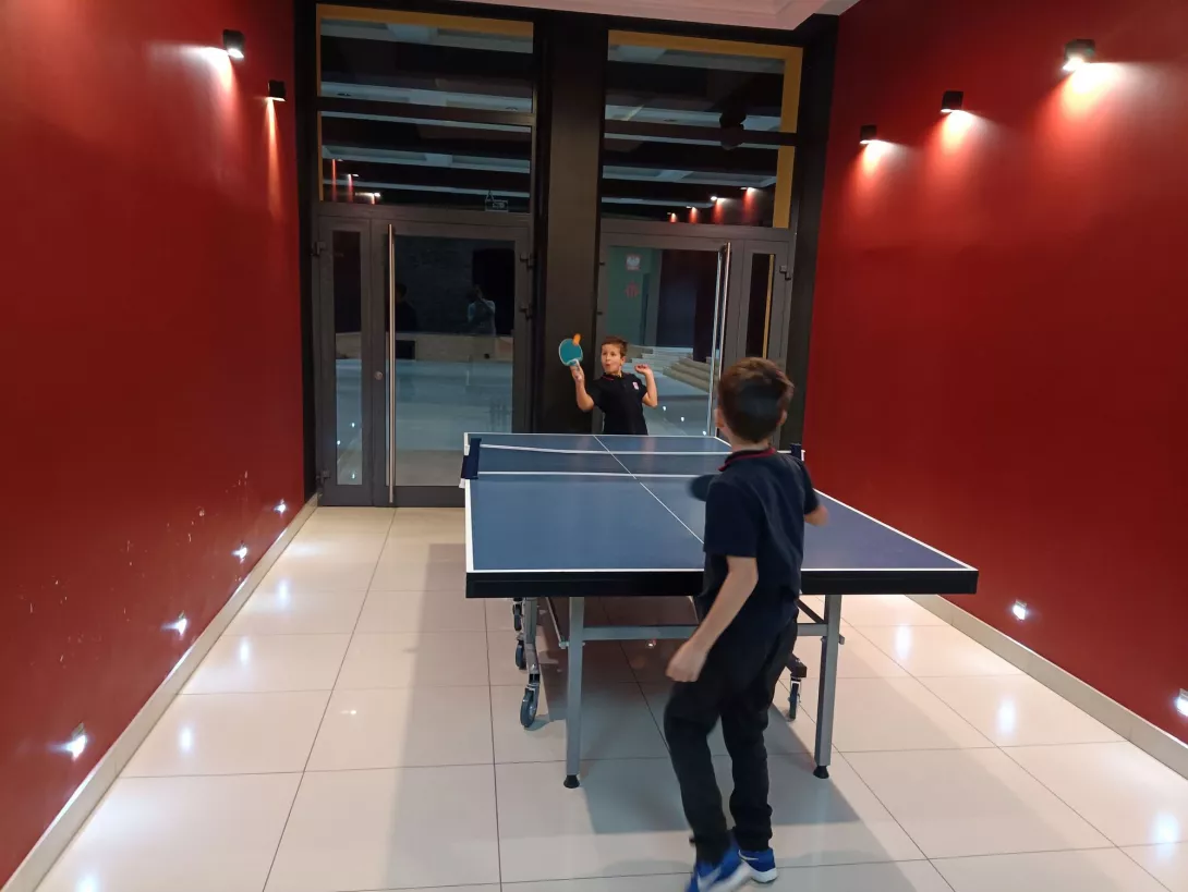 tenis stołowy