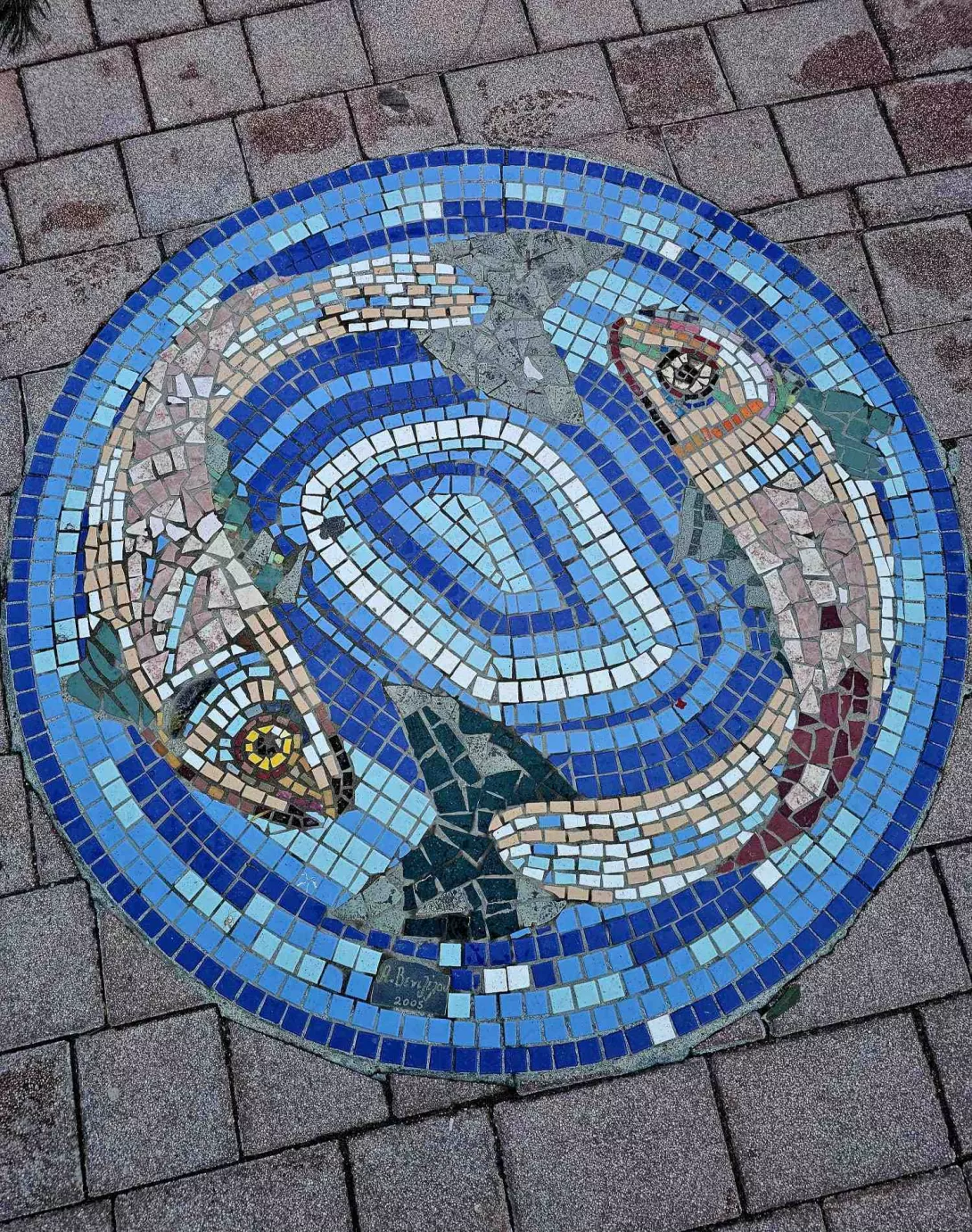 Szkolenie Erasmus+ Cypr marzec 2026