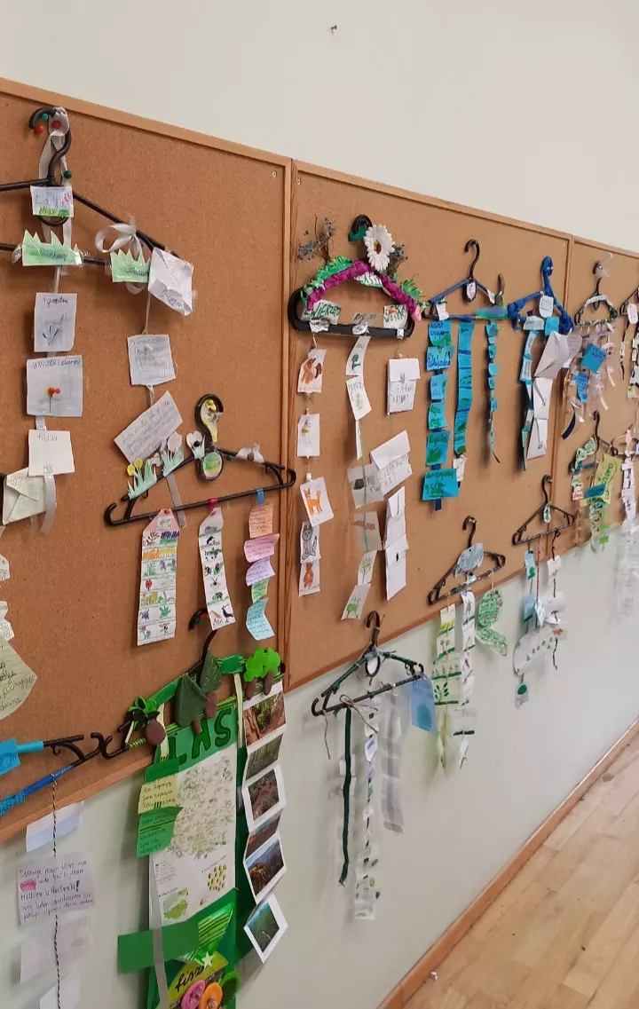 Prace uczennic klasy 3c na temat ekosystemów