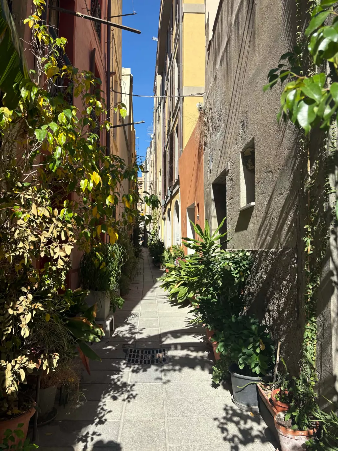 Narrow Street